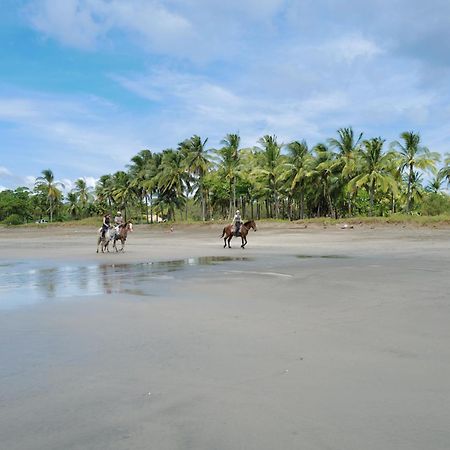 Mundo Milo Eco Lodge Paraíso エクステリア 写真