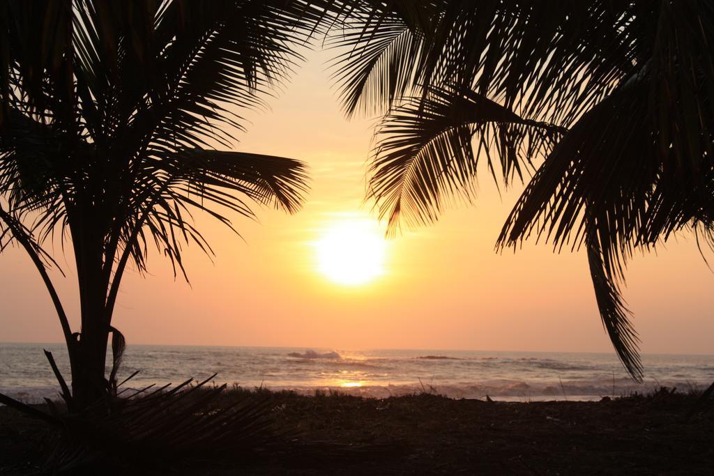 Mundo Milo Eco Lodge Paraíso エクステリア 写真