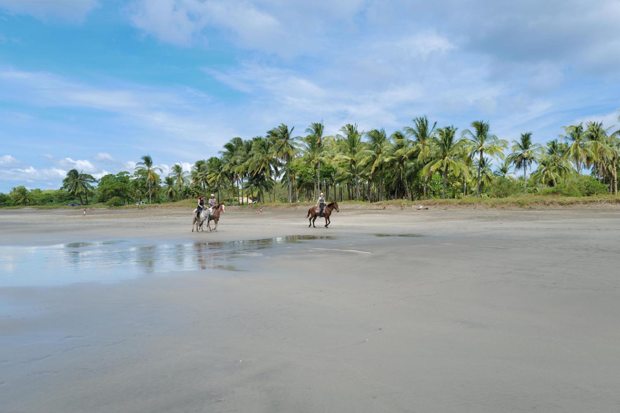 Mundo Milo Eco Lodge Paraíso エクステリア 写真