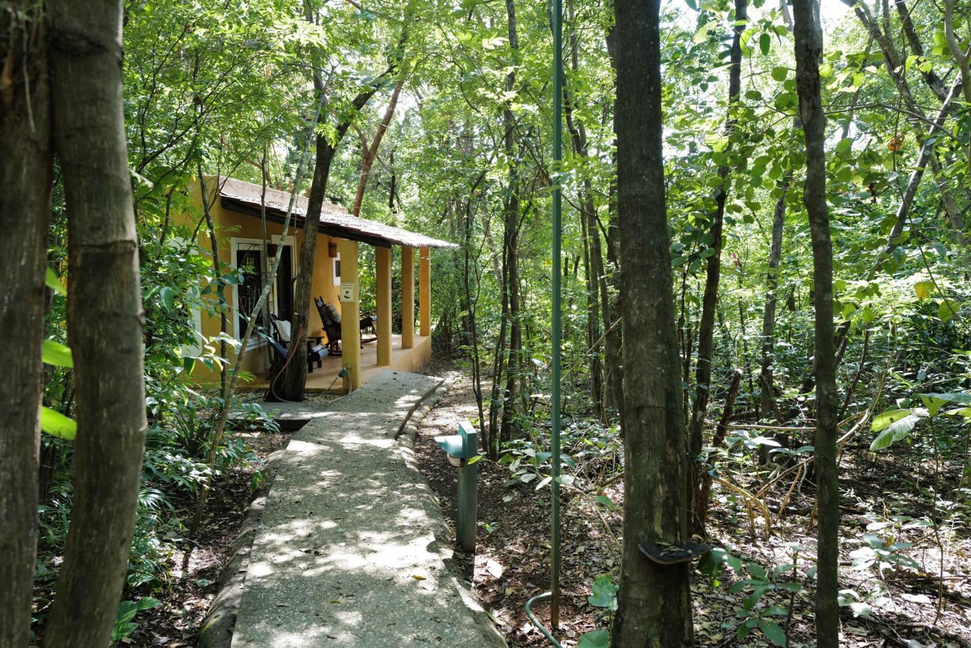 Mundo Milo Eco Lodge Paraíso エクステリア 写真