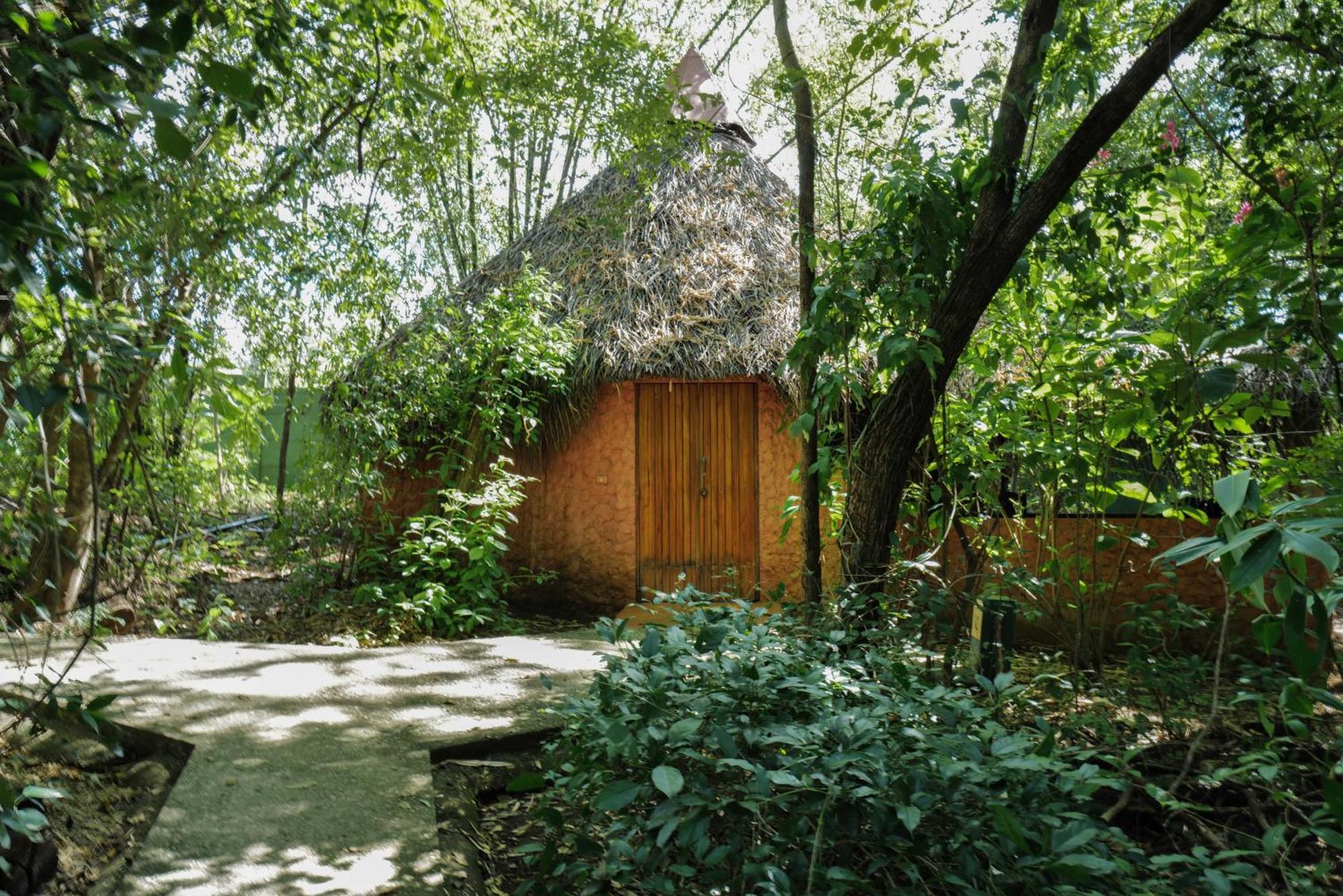 Mundo Milo Eco Lodge Paraíso エクステリア 写真