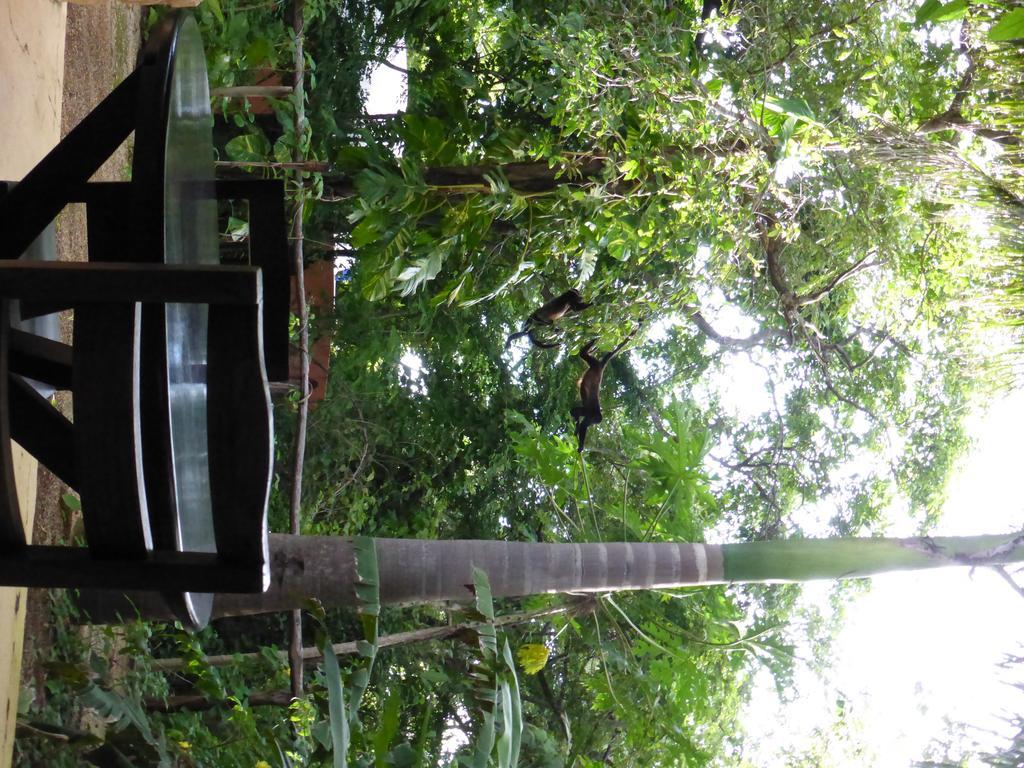 Mundo Milo Eco Lodge Paraíso エクステリア 写真